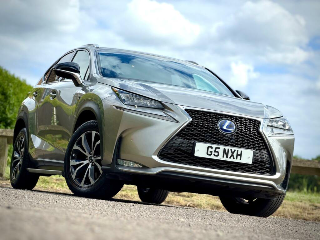 Lexus NX F Sport Grey #8
