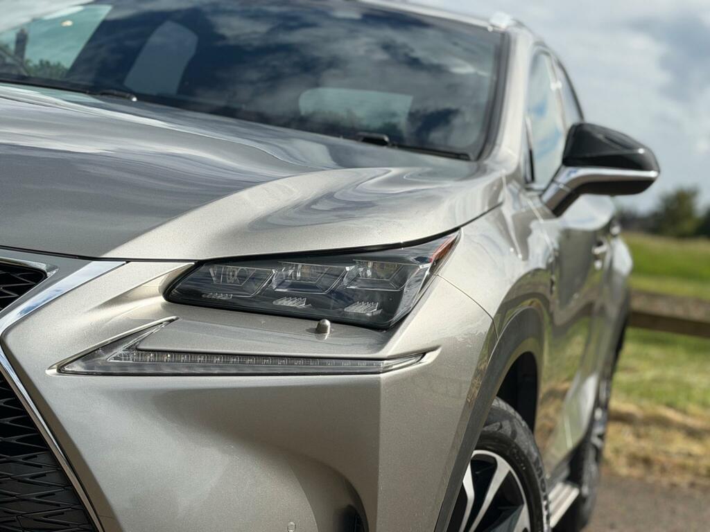 Lexus NX F Sport Grey #14