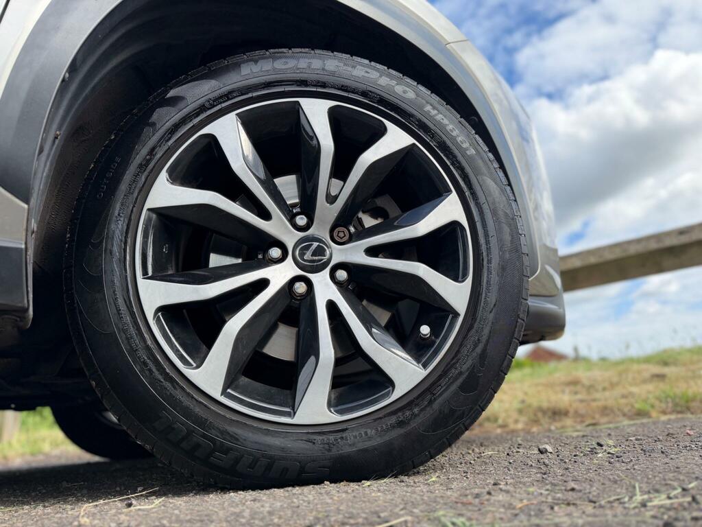 Lexus NX F Sport Grey #27