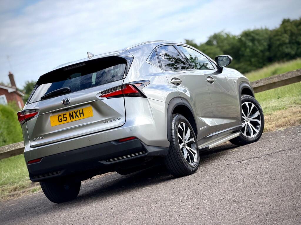 Lexus NX F Sport Grey #9