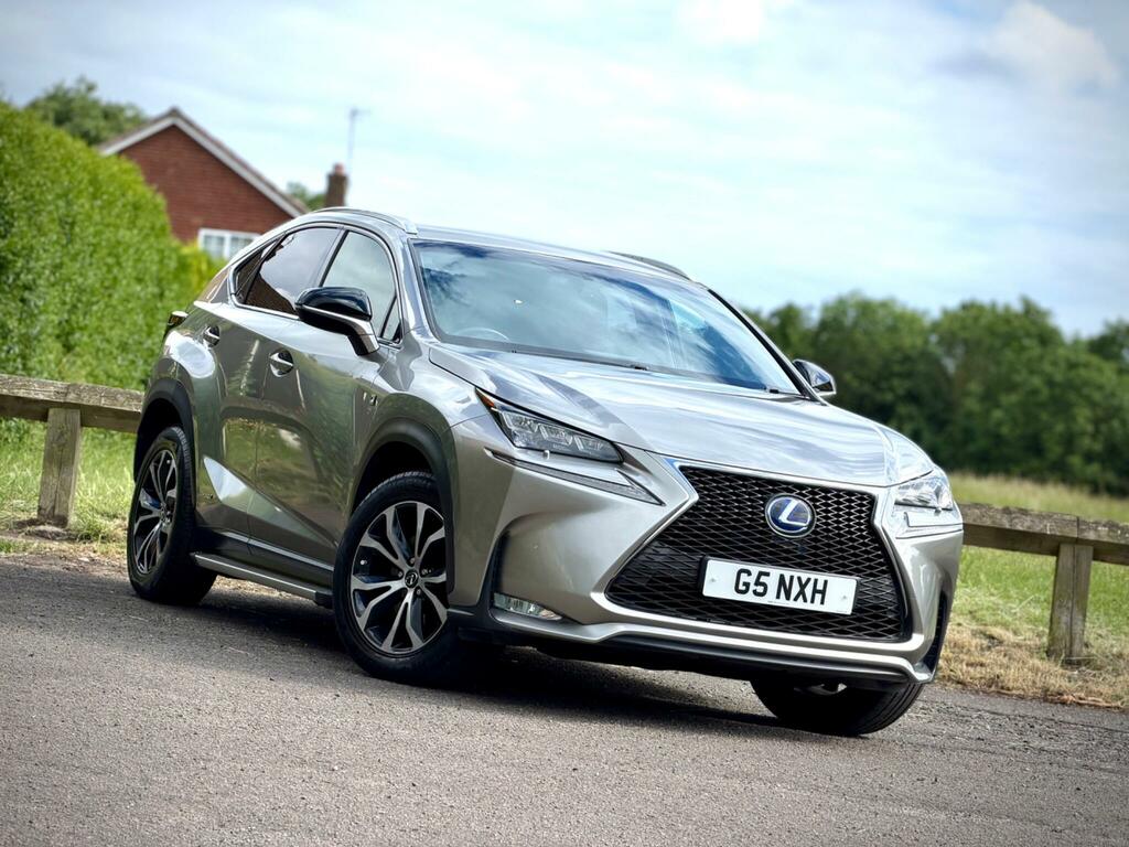 Lexus NX F Sport Grey #31