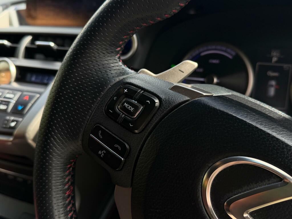 Lexus NX F Sport Grey #18