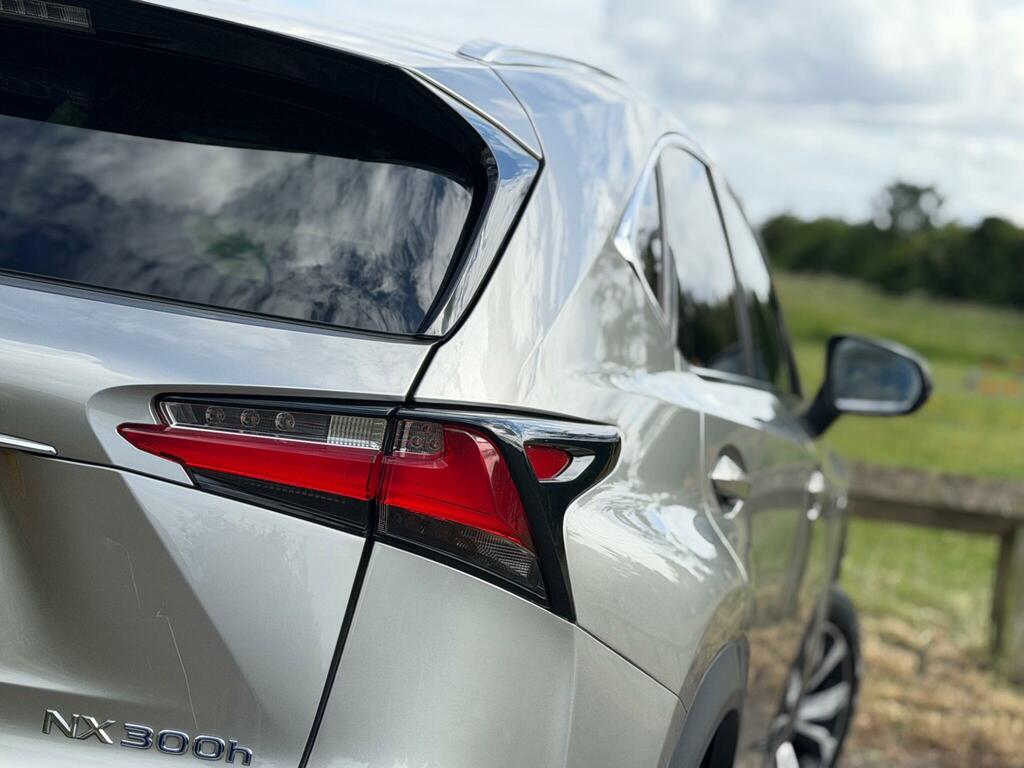 Lexus NX F Sport Grey #11