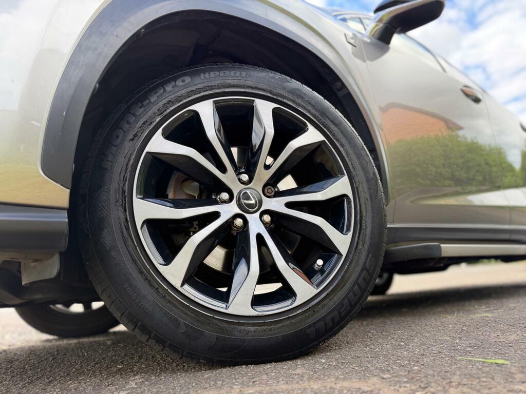 Lexus NX F Sport Grey #29