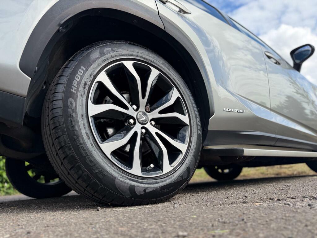 Lexus NX F Sport Grey #26