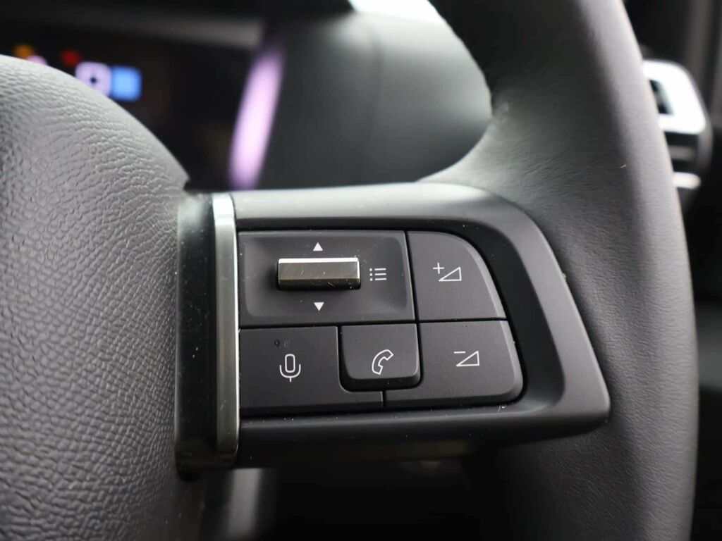 Citroen C4 X 1.2 Puretech 130 Max Eat8 Black #22