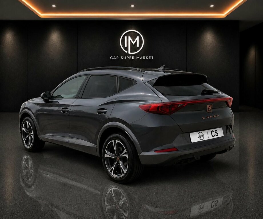 Cupra Formentor 1.5L V1 Grey #6
