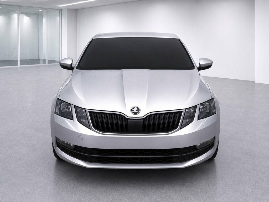 Skoda Octavia 1L Se Silver #6