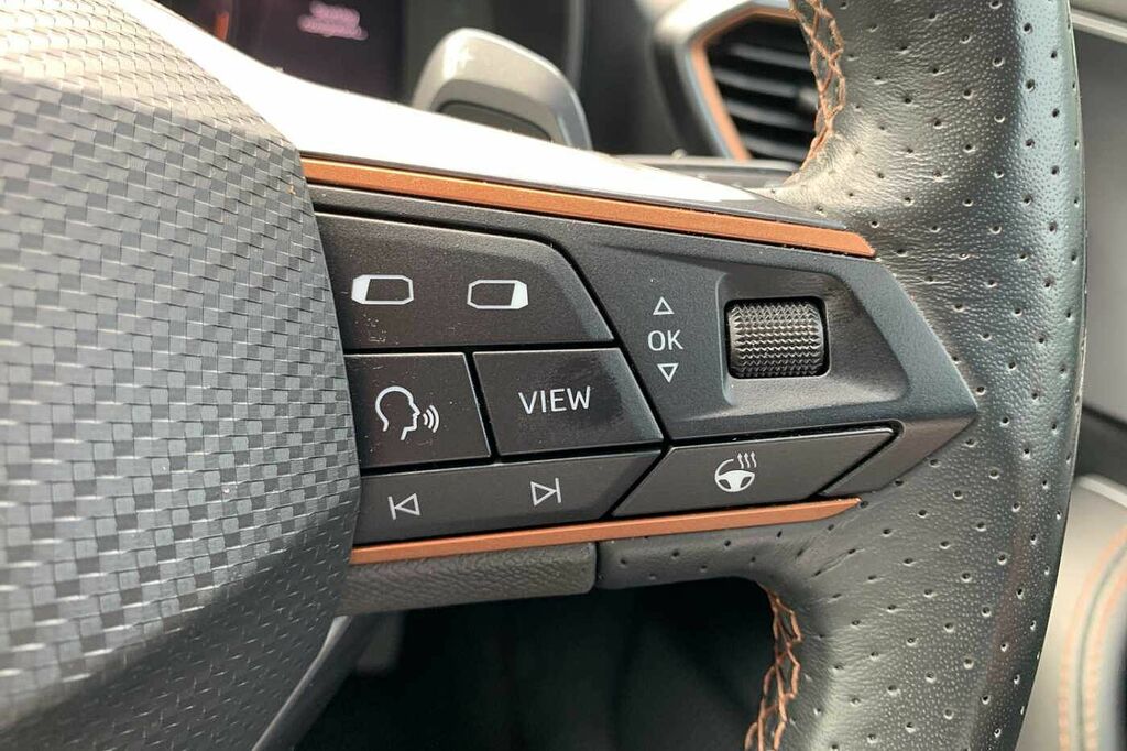 Cupra  Petrol Grey #15