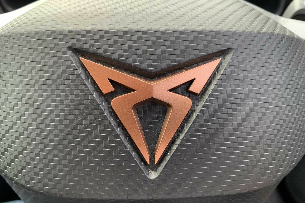 Cupra  Petrol Grey #20