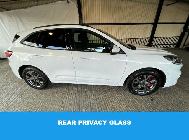 Ford Kuga 2020 2.5 Ecoboost Duratec 14.4Kwh St-line First Ed GJ20TTK White #6
