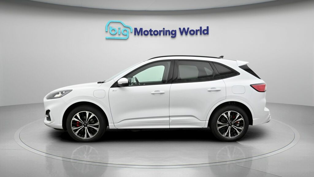Ford Kuga St-line X Edition KX73RZB White #4