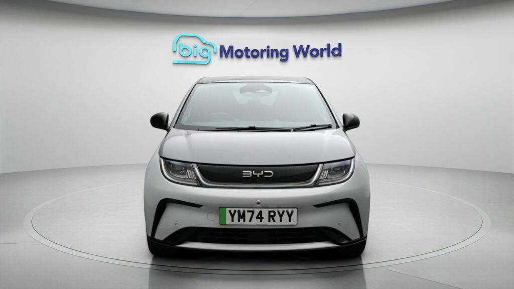 Byd Dolphin Design White #2