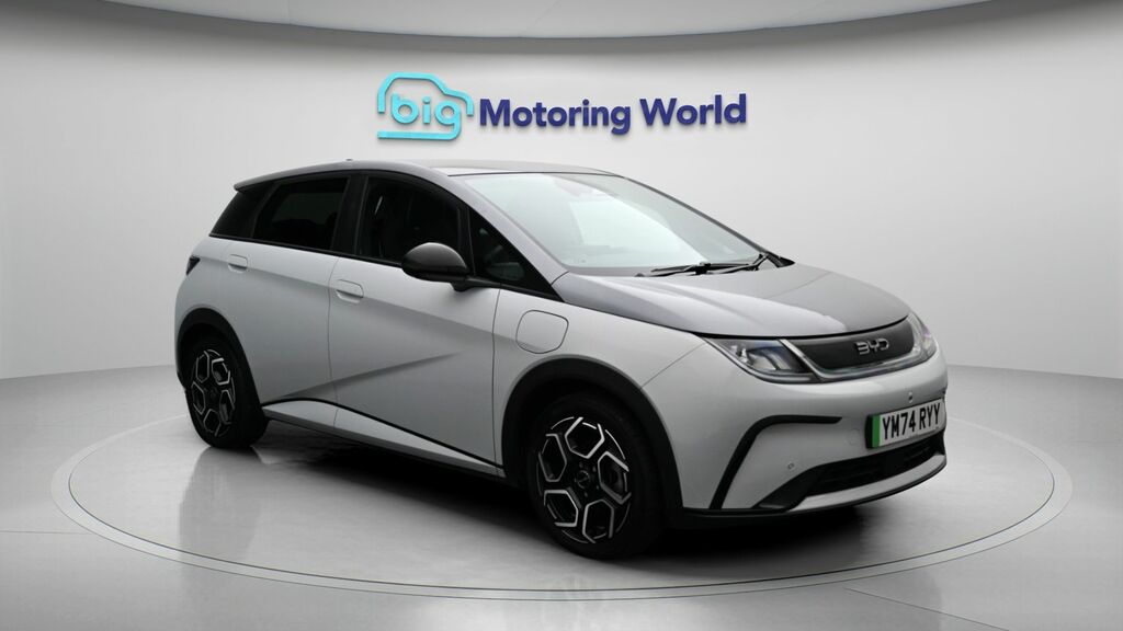 Byd Dolphin Design White