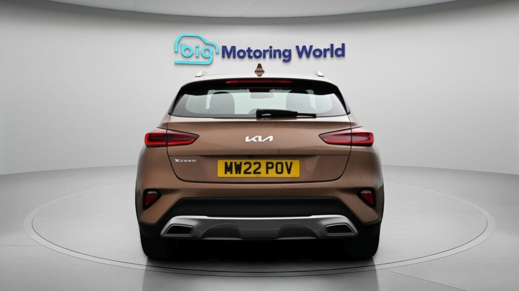 Kia Xceed 2 Brown #6