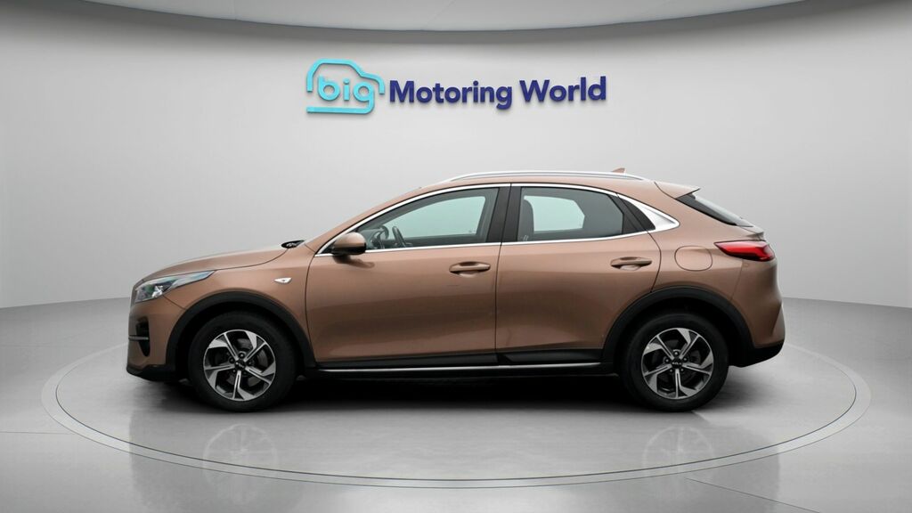 Kia Xceed 2 Brown #4