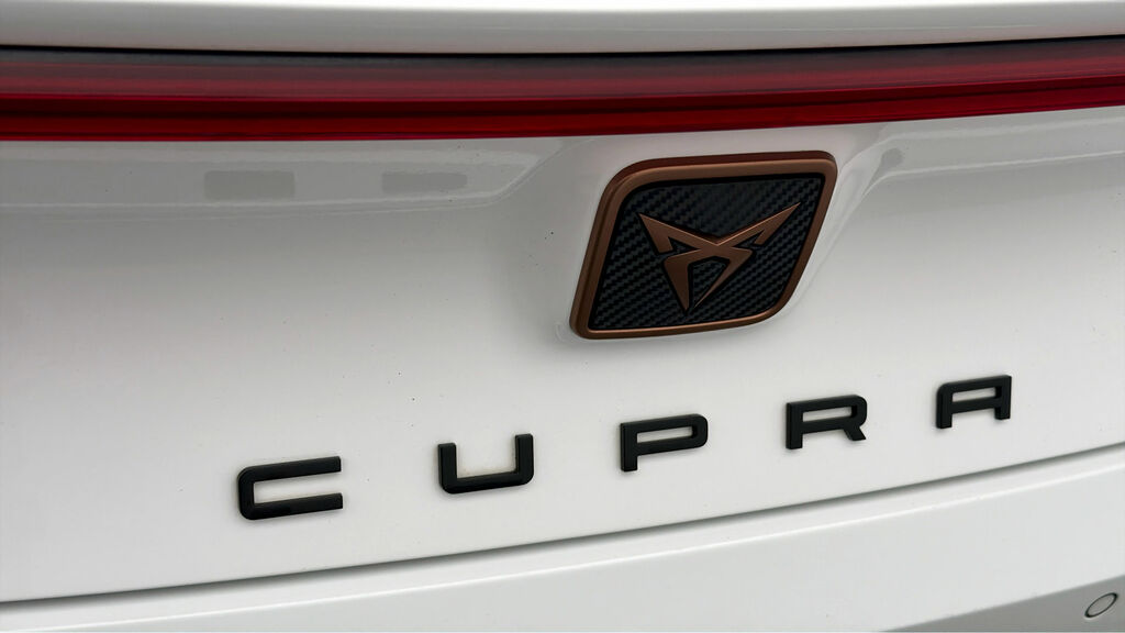 Cupra Leon 2.0 Tsi 245Ps Vz1 Dsg Grey #19