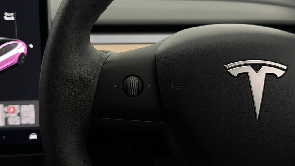 Tesla Model 3 2021 71 Dual #22