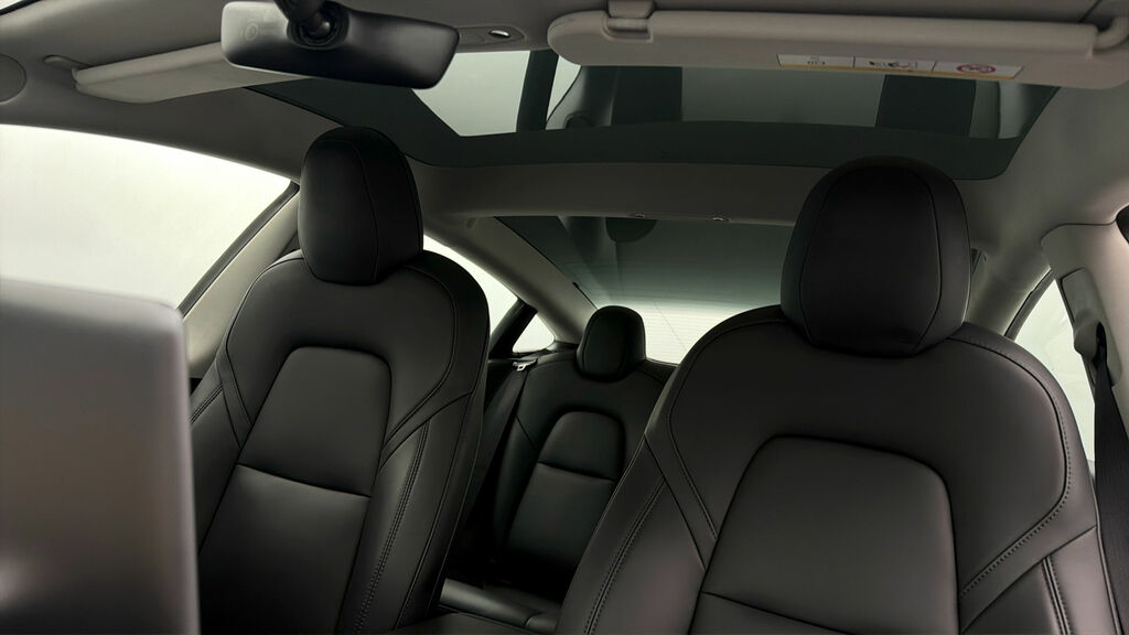Tesla Model 3 2021 71 Dual #27
