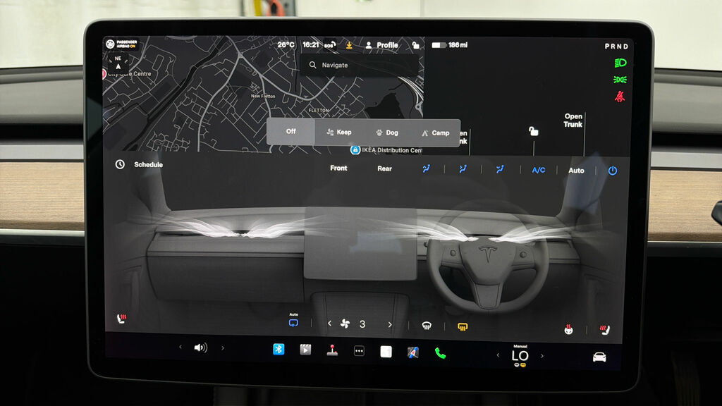 Tesla Model 3 2021 71 Dual #11