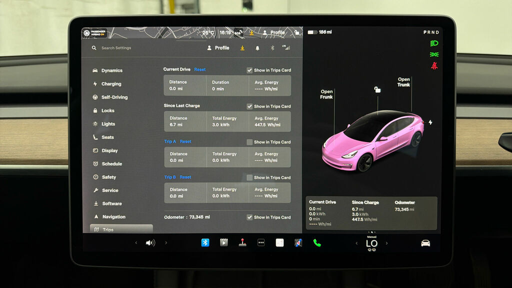 Tesla Model 3 2021 71 Dual #24