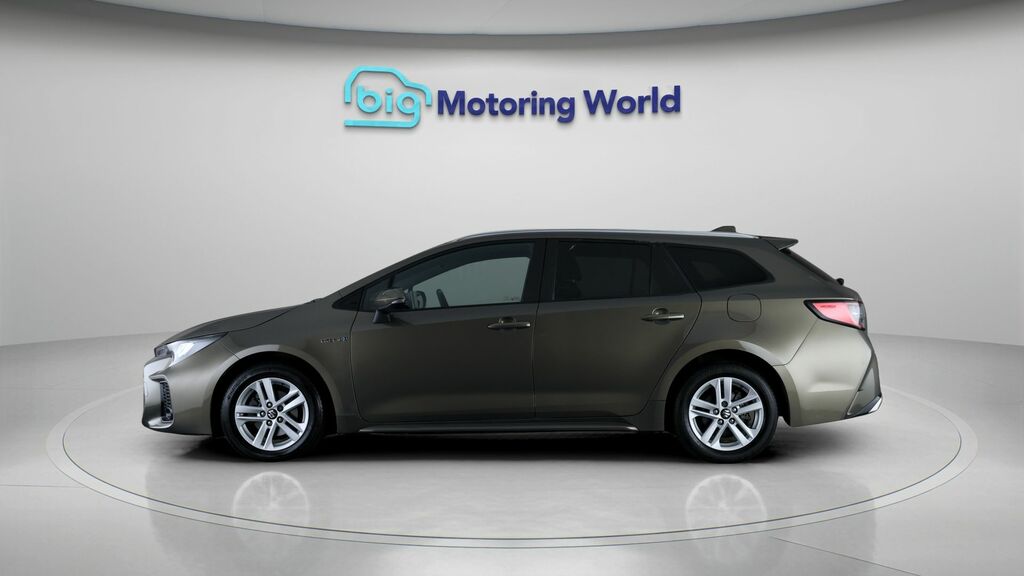 Suzuki Swace Motion Brown #4