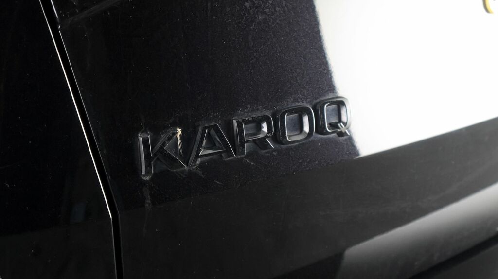 Skoda Karoq Se L Silver #22