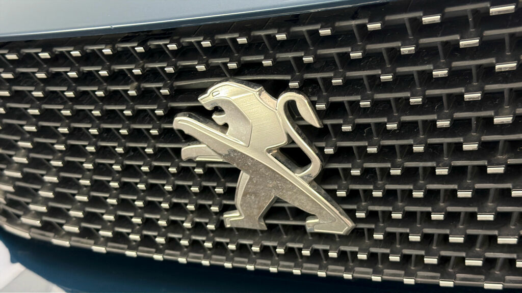 Peugeot 3008 Automatic Grey #13