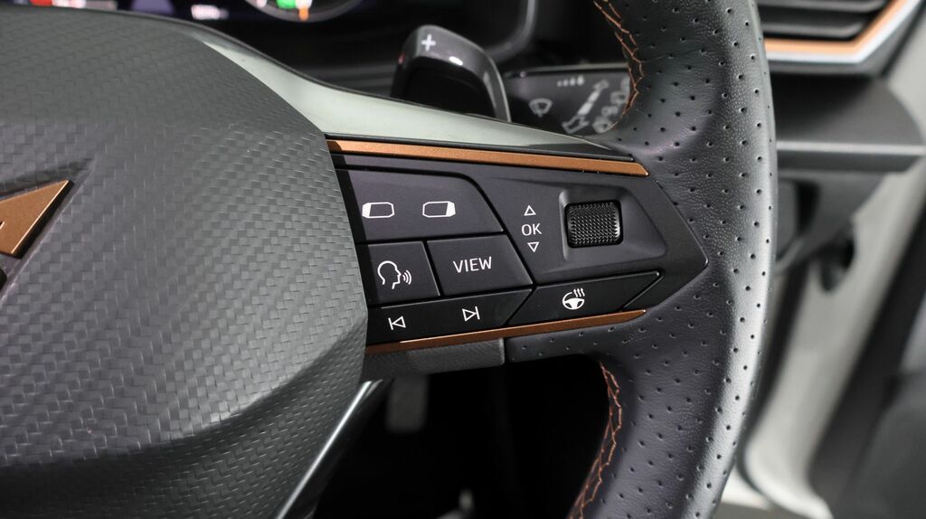 Cupra Leon 1.5 Tsi V1 Black #22