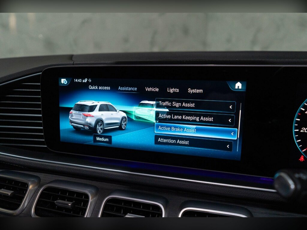 Mercedes-Benz GLE Class 450D 4Matic Amg Line Prem 9G-tron 7 St Silver #30