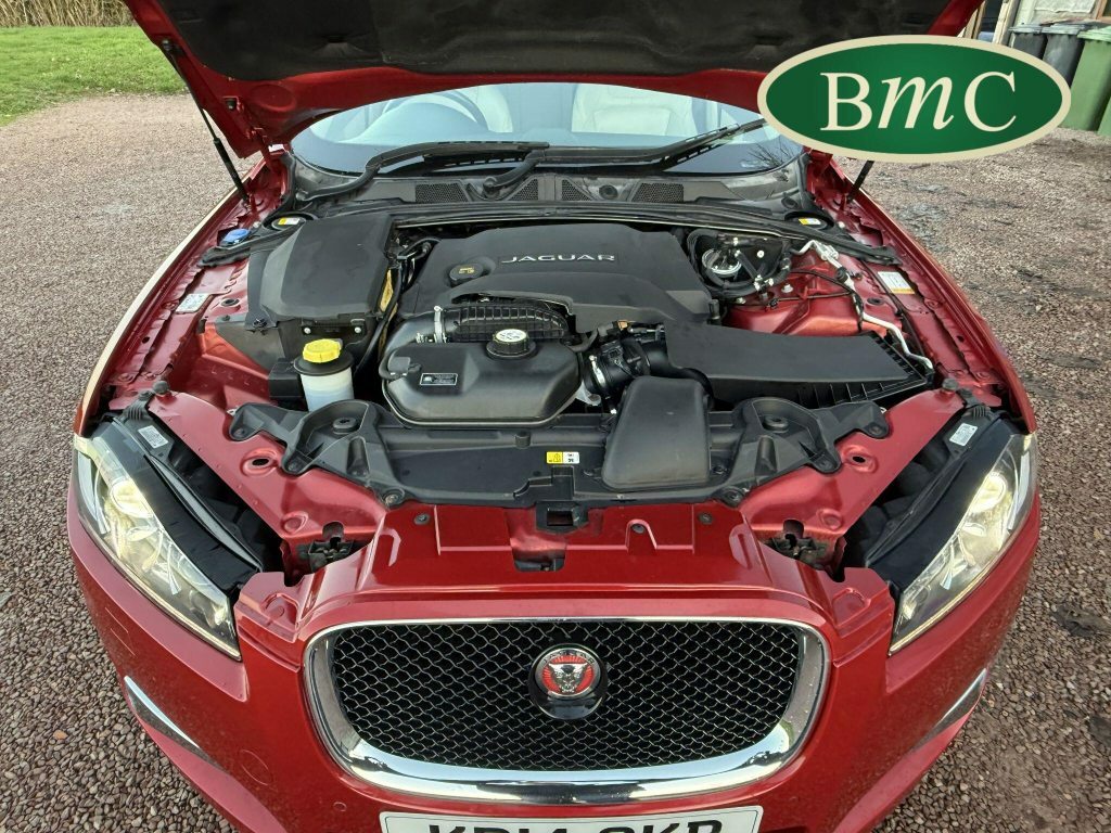 Jaguar XF 2.2D Luxury Saloon White #59
