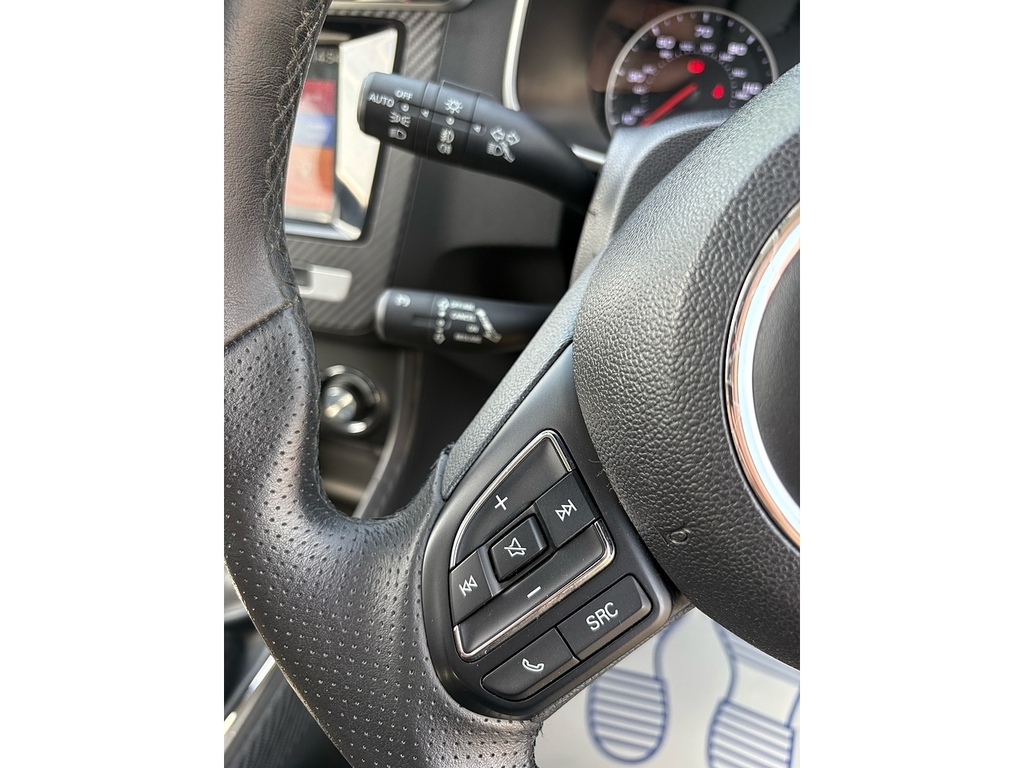 MG ZS Zs Exclusive T Black #16