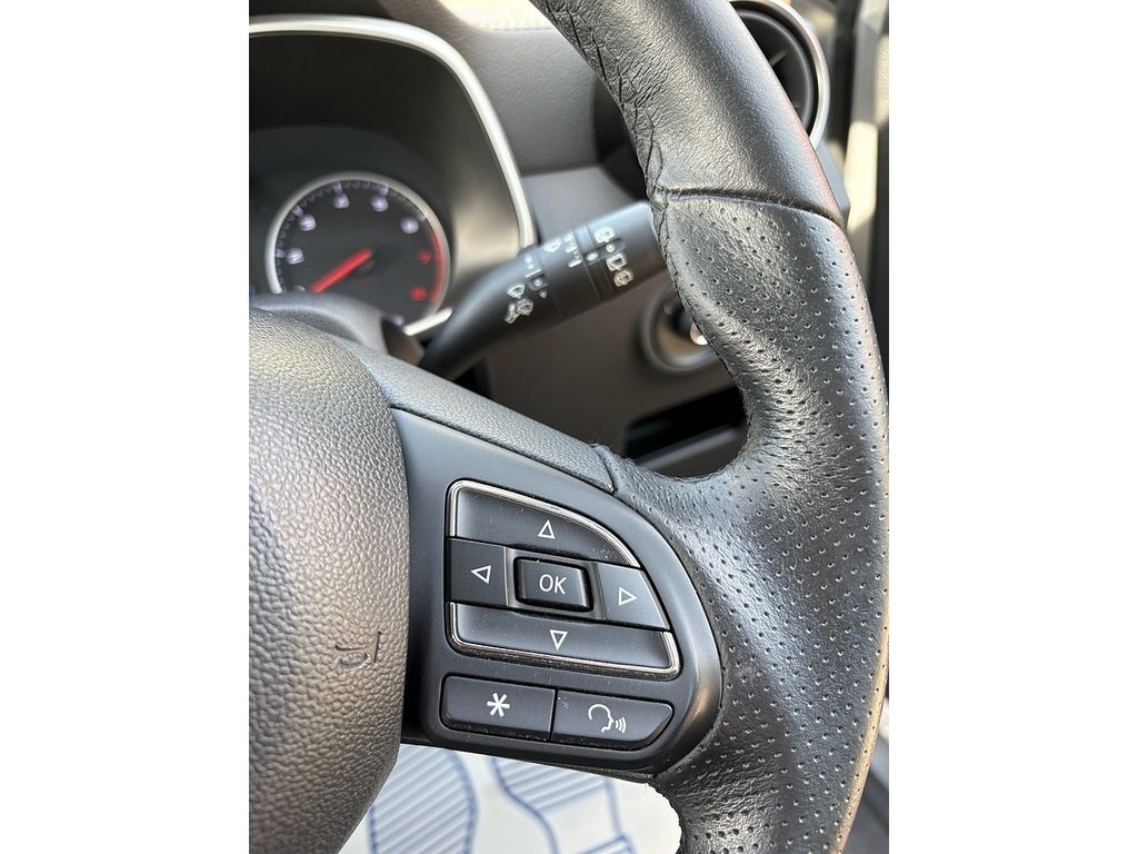 MG ZS Zs Exclusive T Black #17