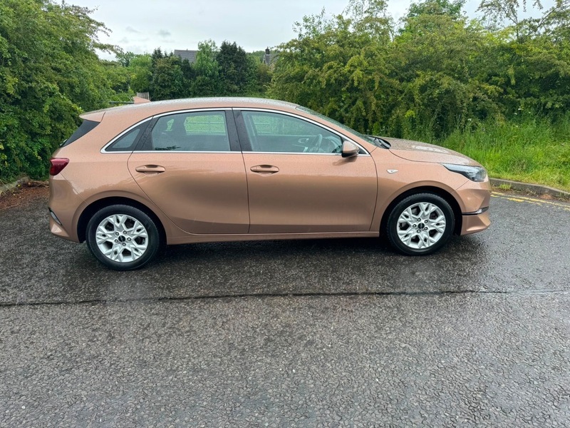 Kia Ceed Crdi 2 Isg Brown #6