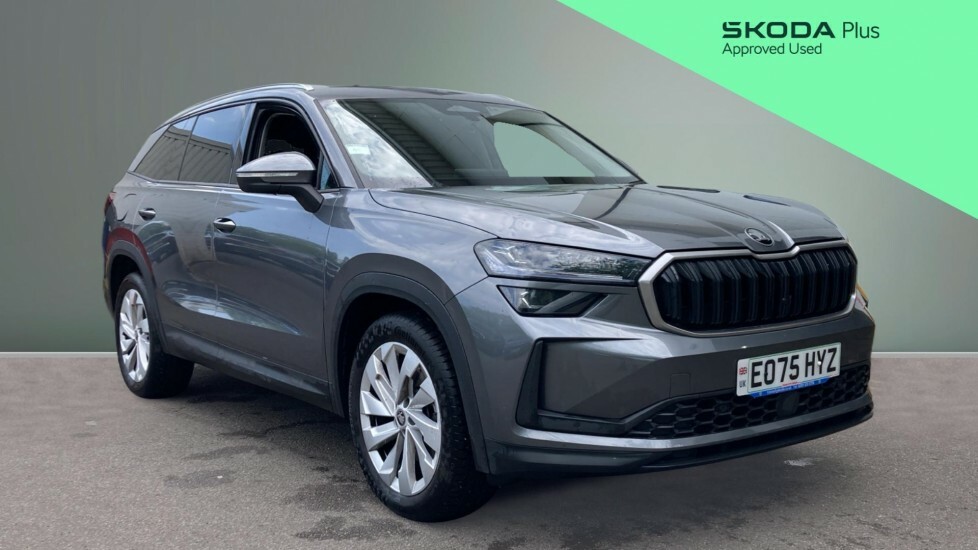 Skoda Kodiaq Se L Grey