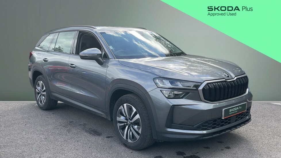 Skoda Kodiaq Se Grey