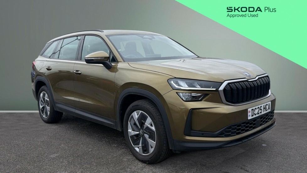 Skoda Kodiaq Se Gold