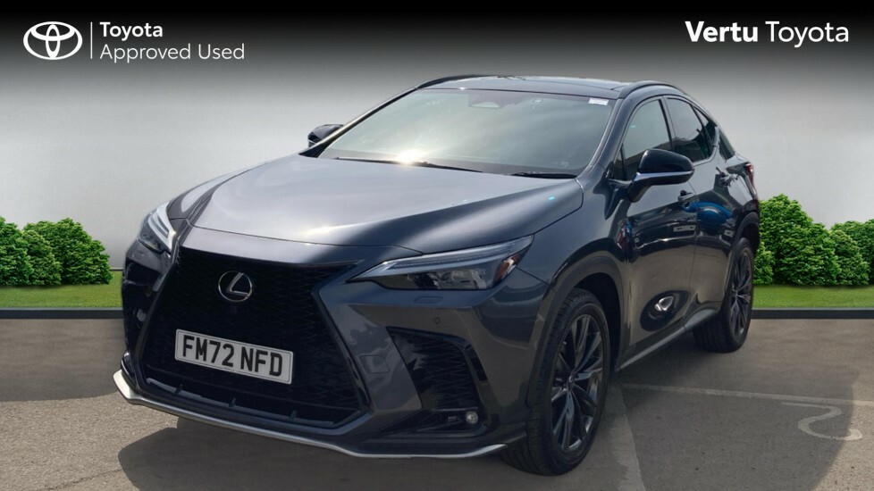 Lexus NX F-sport Grey #3