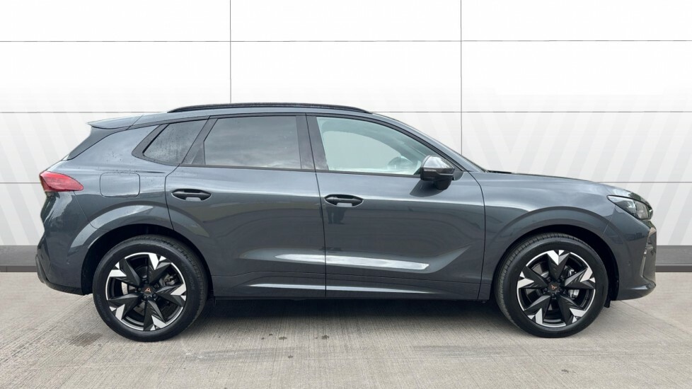 Cupra Terramar V2 Grey #5