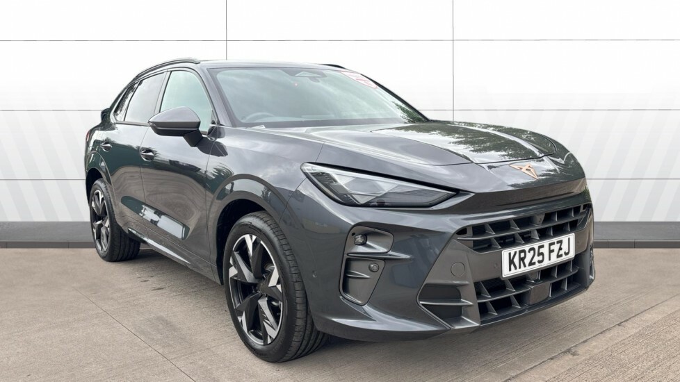 Cupra Terramar V2 Grey