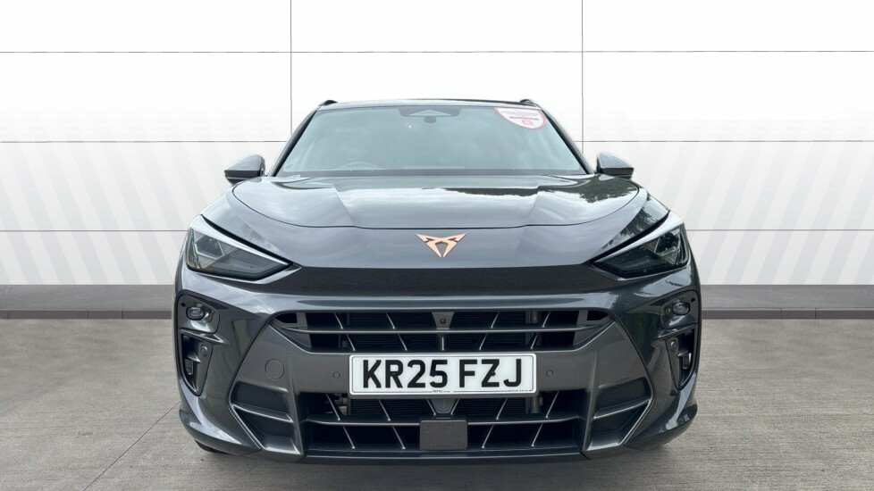 Cupra Terramar V2 Grey #3