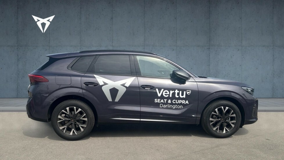 Cupra Terramar V1  #4
