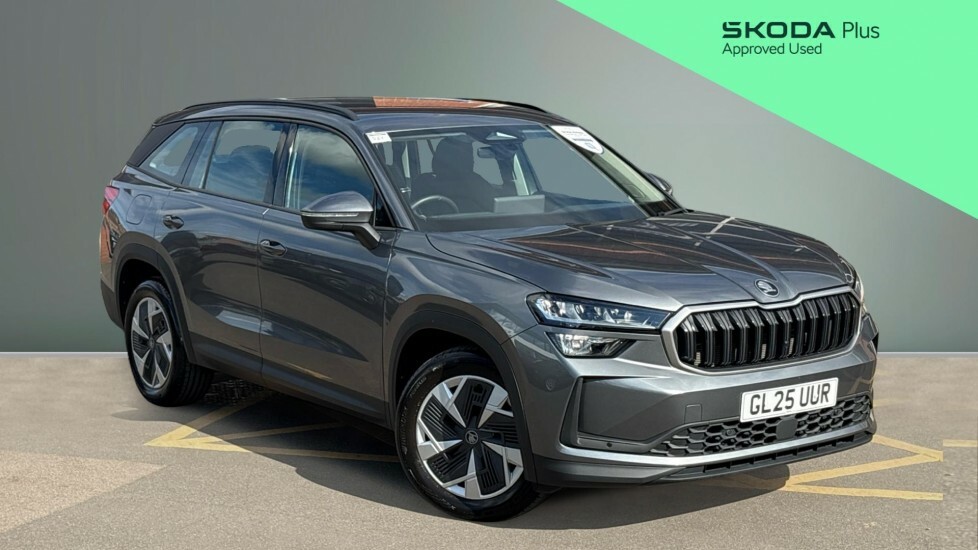 Skoda Kodiaq Se Grey