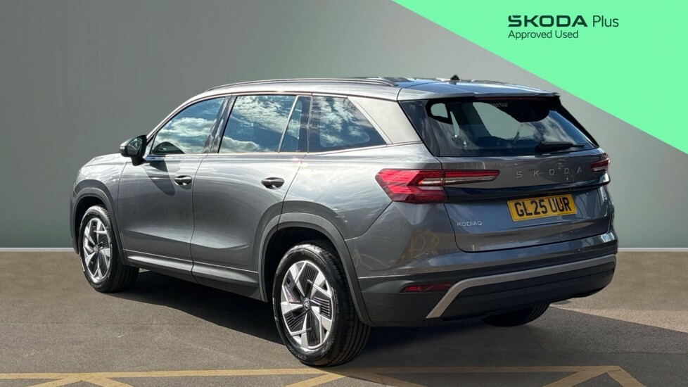 Skoda Kodiaq Se Grey #3