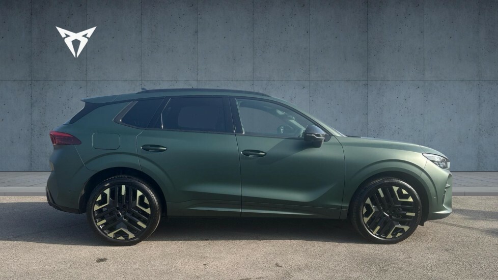 Cupra Terramar Tribe Edition Green #4