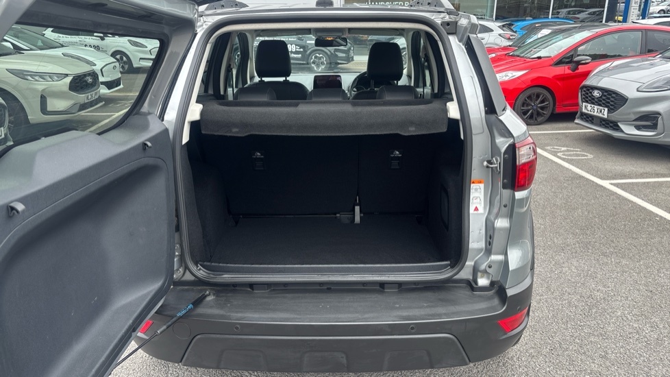 Ford Ecosport Active Silver #4