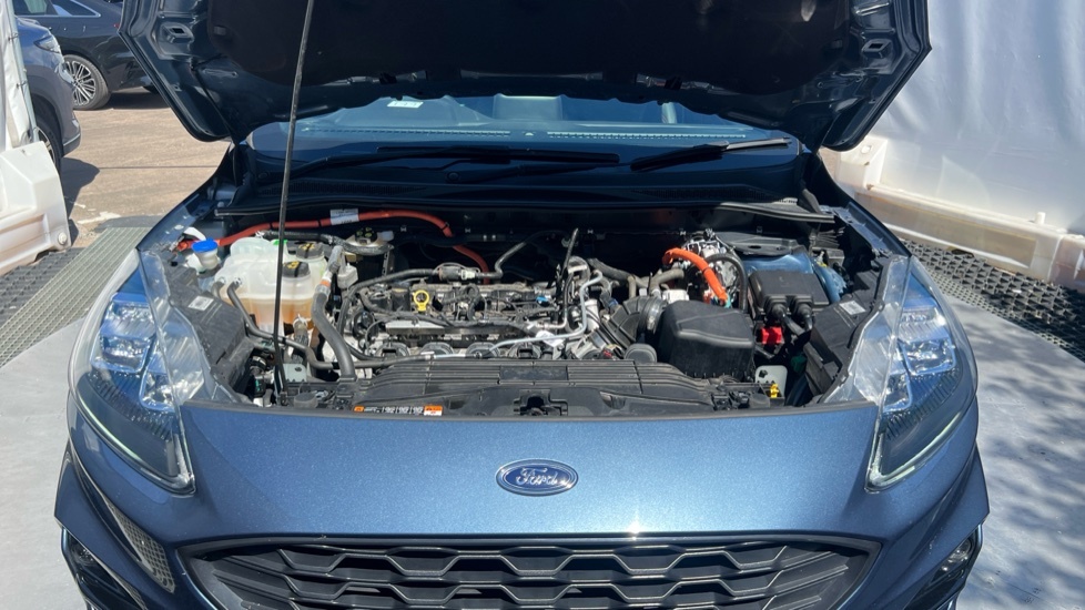 Ford Kuga 2.5 Fhev Black Package Edition Cvt Red #8