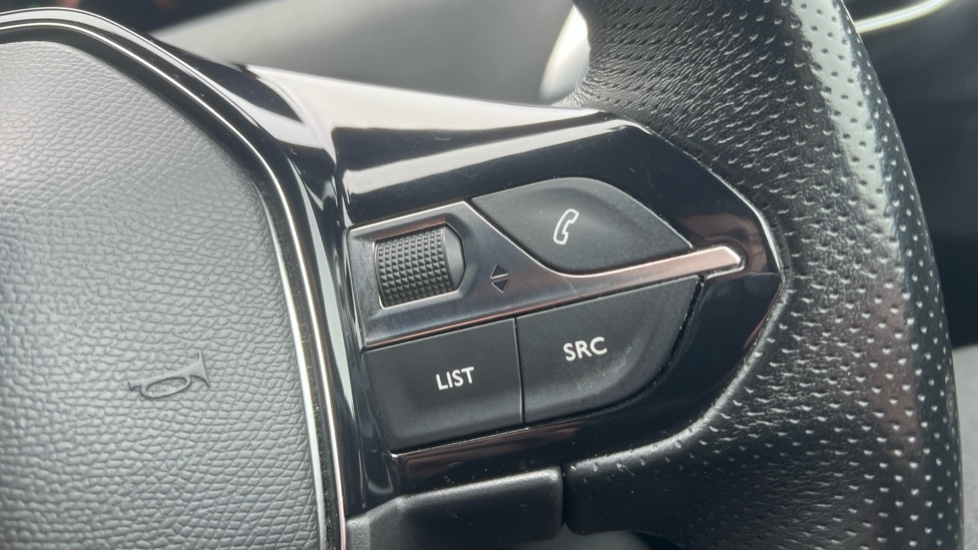 Peugeot 3008  Brown #22