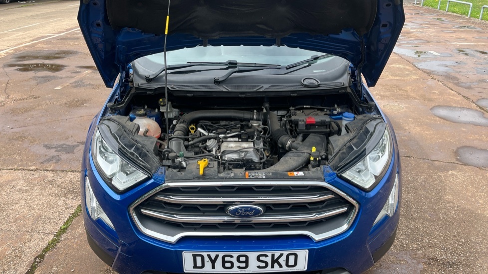 Ford Ecosport St-line White #8