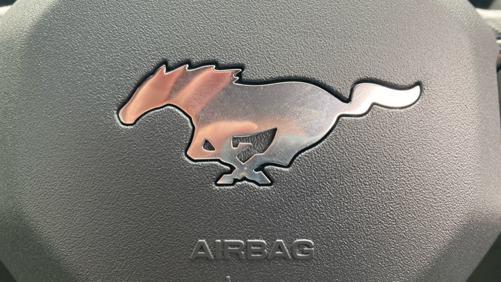 Ford Mustang 5.0 V8 Gt Magneride Digital Dash Heeated Blue #25